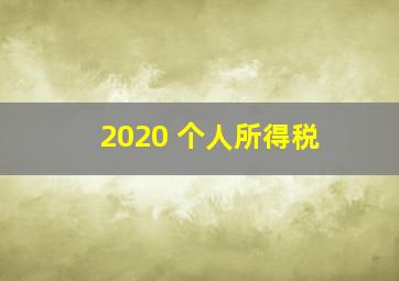 2020 个人所得税